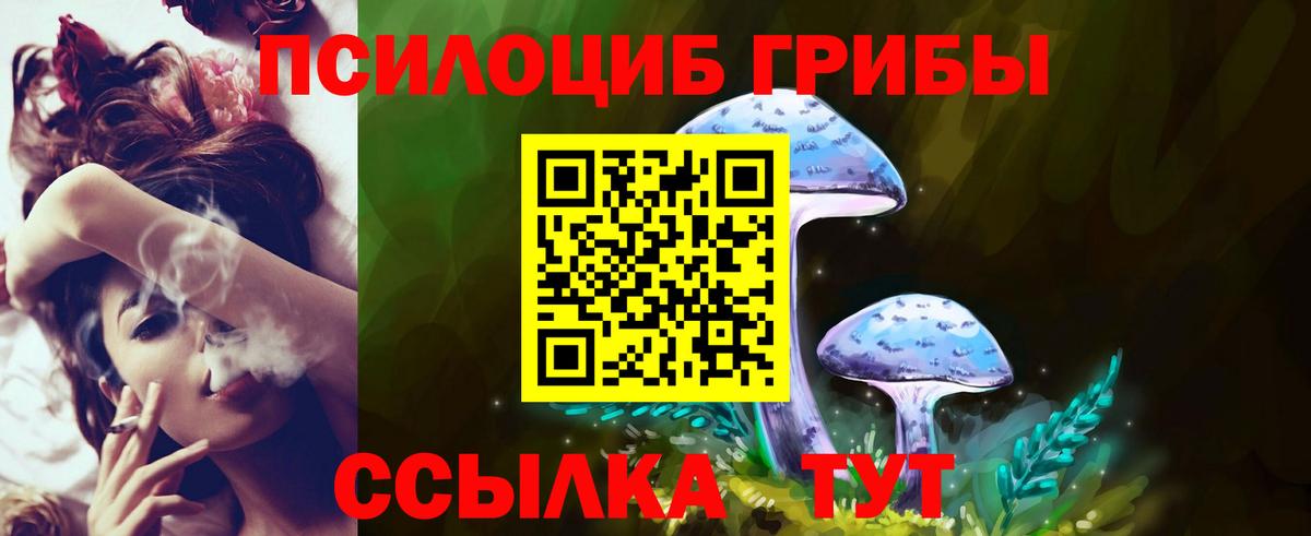 Псилоцибиновые грибы GOLDEN TEACHER Уссурийск